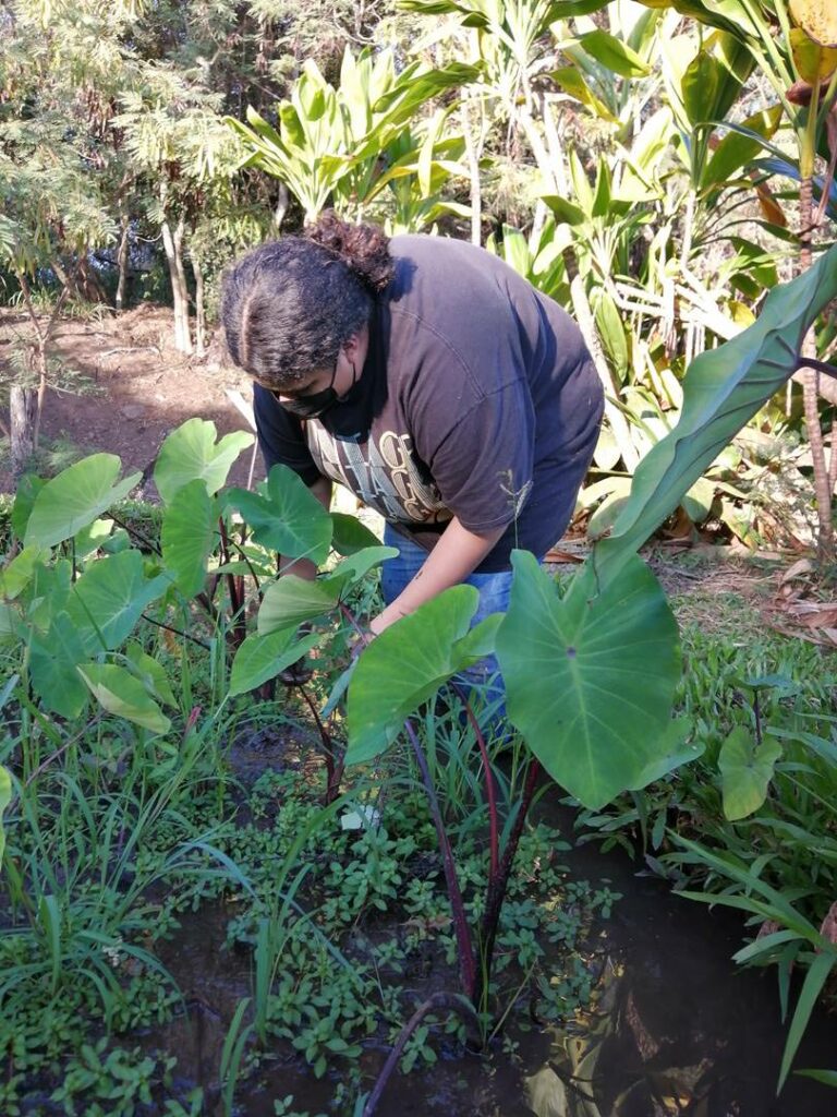 mauihuimalama 2201-05